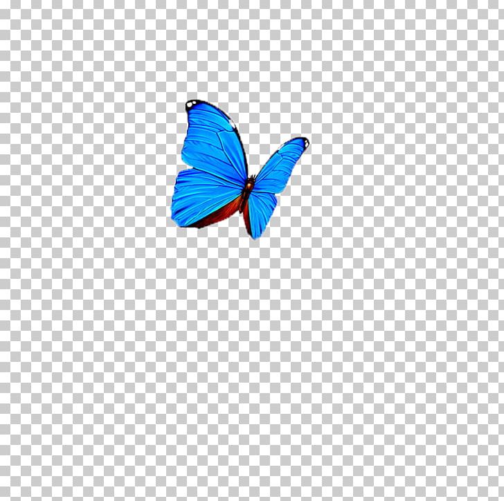 Butterfly Computer PNG, Clipart, Animals, Azure, Blue, Butterflies, Butterfly Free PNG Download