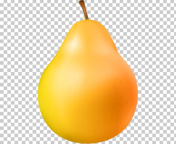 Pear PNG, Clipart, 491 Gallery, Art, Art Museum, Blog, Calabaza Free PNG Download