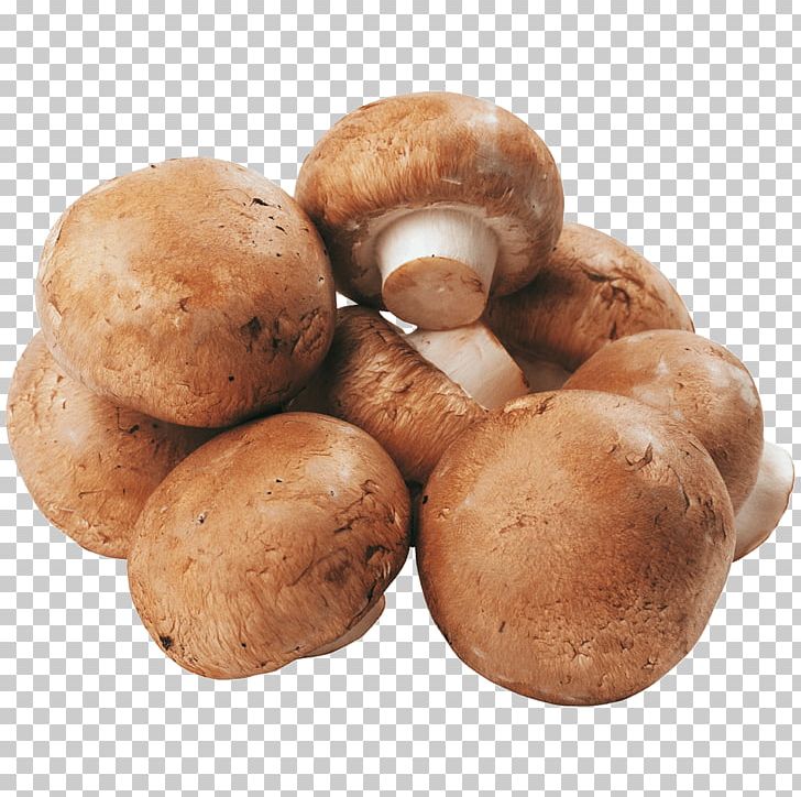 Shiitake Common Mushroom Supermarket REWE Online Grocer PNG, Clipart, Agaricomycetes, Agaricus, Champignon Mushroom, Common Mushroom, Edible Mushroom Free PNG Download