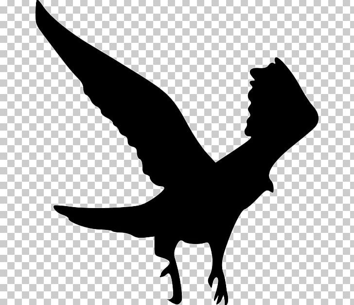 Silhouette Hawk PNG, Clipart, Animals, Art, Beak, Bird, Bird Of Prey Free PNG Download