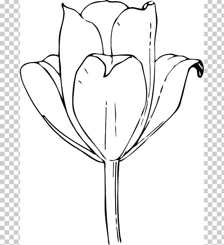 The Tulip: The Story Of A Flower That Has Made Men Mad Coloring Book PNG, Clipart, Bla, Child, Color, Flower, Heart Free PNG Download