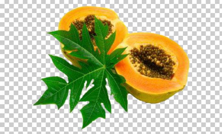 Green Papaya Salad Mountain Papaya Papaya Leaf PNG, Clipart, Botanical Name, Cantaloupe, Caricaceae, Carotene, Dengue Fever Free PNG Download