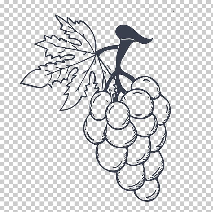 Ice Cream Wine Grape PNG, Clipart, Art, Branch, Bunch, Cartoon, Encapsulated Postscript Free PNG Download