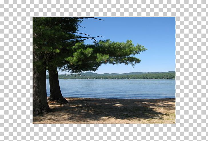 Nature Reserve Loch Land Lot State Park PNG, Clipart, Bay, Bayou, Coast, Inlet, Lake Free PNG Download