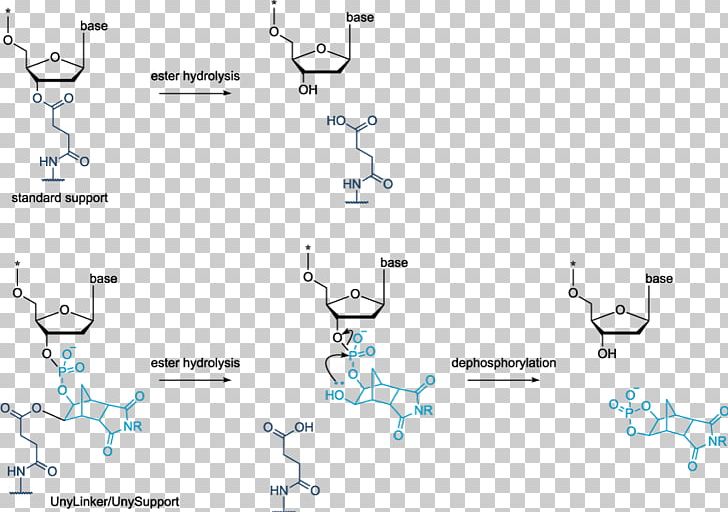 Oligonucleotide Synthesis Solid-phase Synthesis Antisense Therapy Morpholino PNG, Clipart, Angle, Antisense Therapy, Area, Chemistry, Diagram Free PNG Download
