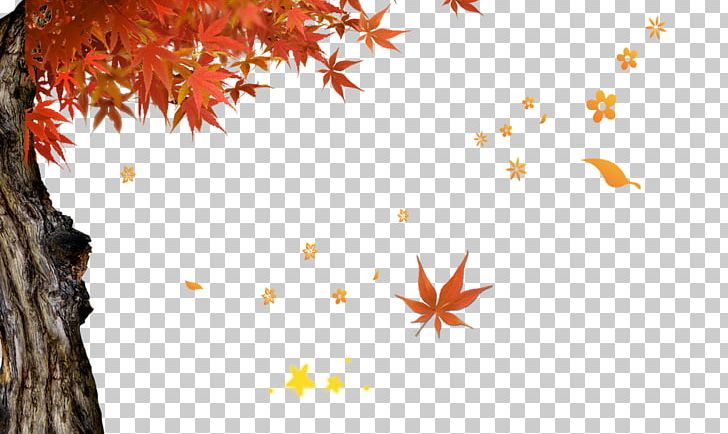Text Leaf Illustration PNG, Clipart, Autumn, Autumn Leaf Color, Computer Wallpaper, Deciduous, Decorative Patterns Free PNG Download