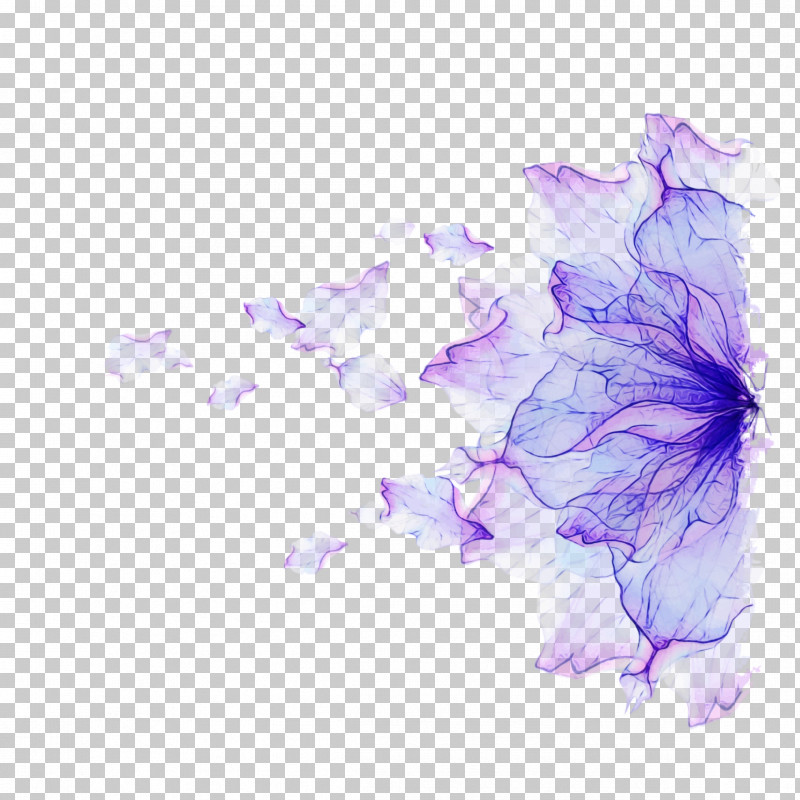 Lavender PNG, Clipart, Flower, Lavender, Lilac, Morning Glory, Paint Free PNG Download