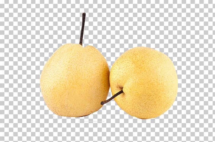 Asian Pear Lemon Pyrus Xd7 Bretschneideri Pyrus Nivalis PNG, Clipart, Asian Pear, Auglis, Citron, Citrus, Citrus Junos Free PNG Download