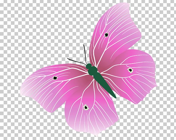 Butterflies And Moths .li .ru PNG, Clipart, Butterfly, Diary, Flower, Magenta, Miscellaneous Free PNG Download