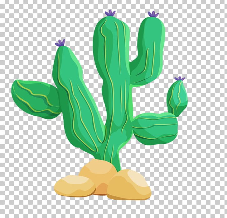 Cactaceae Desert Stock Photography Illustration PNG, Clipart, Art, Background Green, Cactus, Cartoon, Caryophyllales Free PNG Download