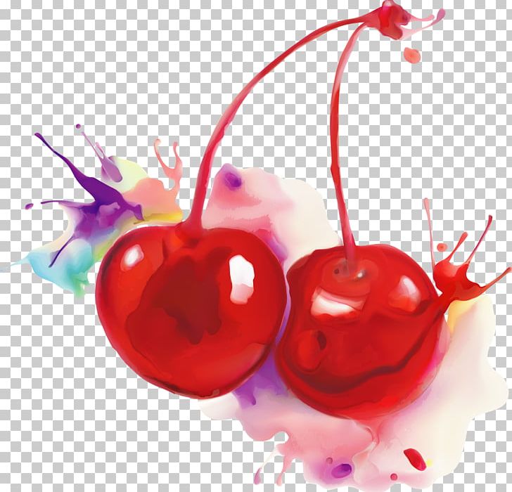 Cherry Watercolor Painting Fruit PNG, Clipart, Apple, Auglis, Blossom, Canape, Cherry Free PNG Download