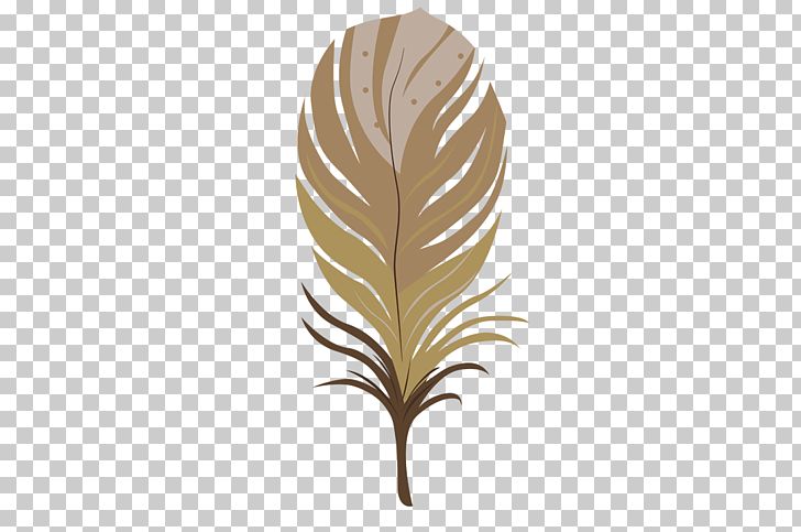 Feather Brown Color PNG, Clipart, Animals, Blue, Brown, Brown Background, Brown Vector Free PNG Download