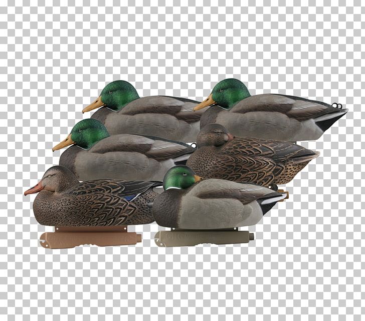Mallard Duck Decoy Duck Decoy Goose PNG, Clipart,  Free PNG Download