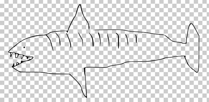 Requiem Shark Drawing Tiger Shark PNG, Clipart, Angle, Animals, Area, Artwork, Black And White Free PNG Download