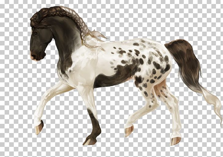 Stallion Mustang Foal Colt Mare PNG, Clipart, Animal Figure, Colt, Foal, Halter, Horse Free PNG Download