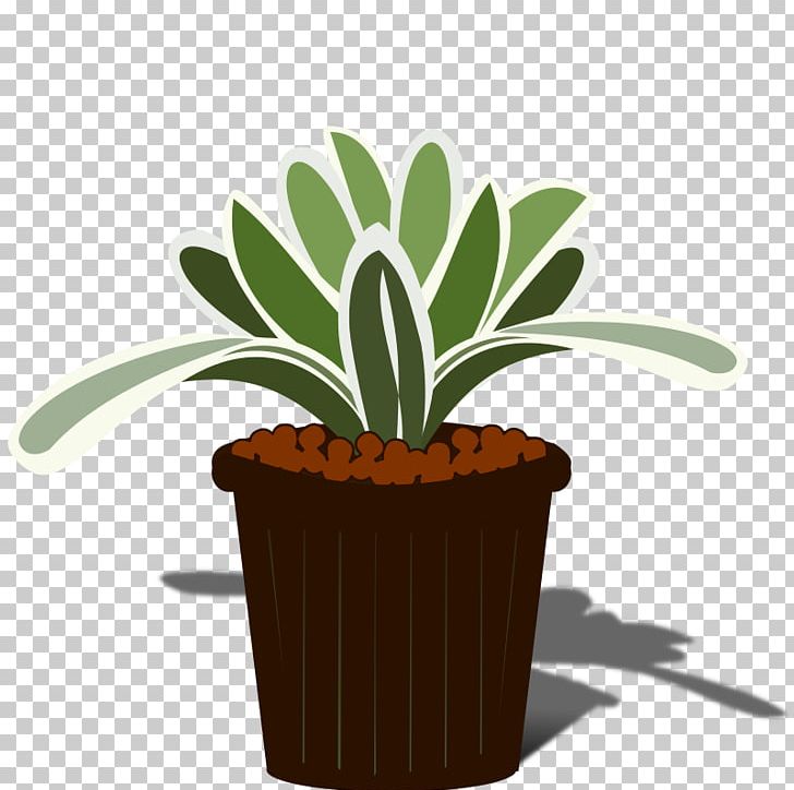 Bromelia Aechmea Chantinii Tillandsia PNG, Clipart, Aechmea, Aechmea Chantinii, Bromelia, Bromeliad, Bromeliads Free PNG Download