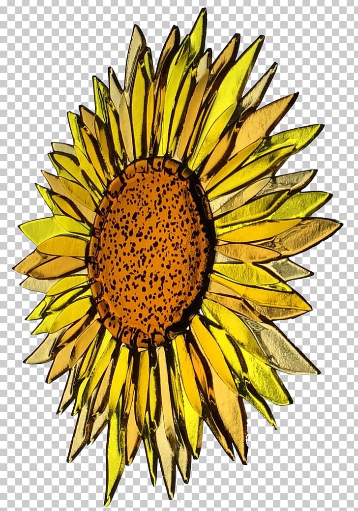 Fused Glass Common Sunflower Glass Fusing Glass Art Slumping PNG, Clipart, Art, Common Sunflower, Cut Flowers, Daisy Family, Dichroic Glass Free PNG Download