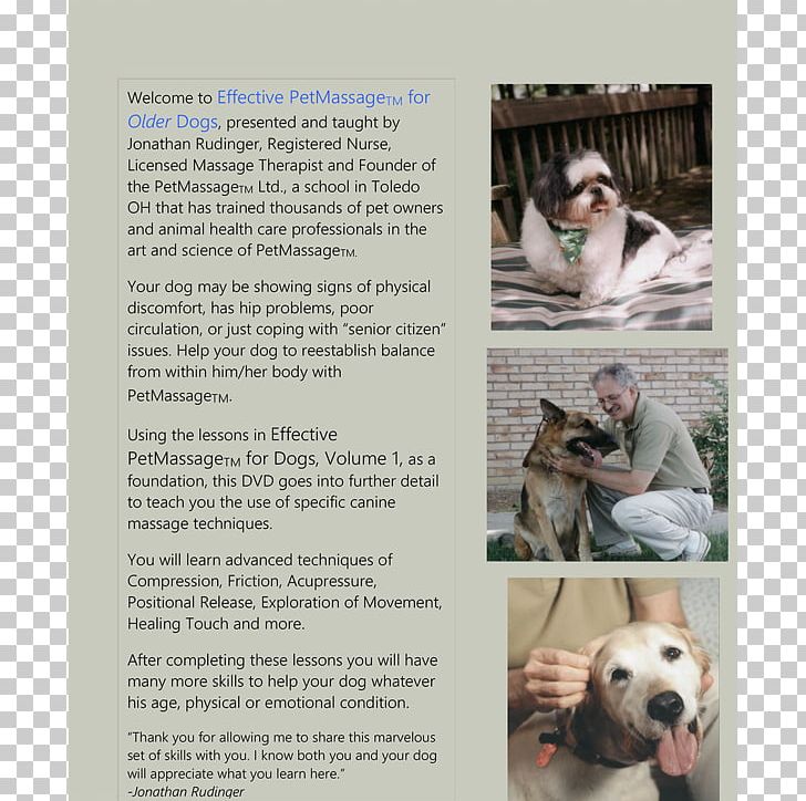 PetMassage Training & Research Institute Dog Breed PNG, Clipart, Advertising, Breed, City, Dog, Dog Breed Free PNG Download