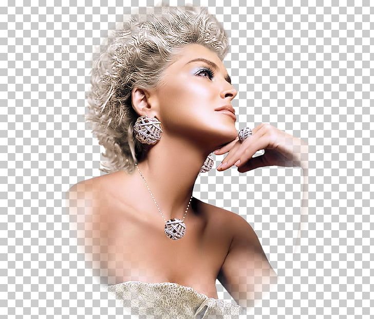 Sharon Stone Model Female Photo Shoot PNG, Clipart, Academy Award For Best Actress, Beauty, Black Hair, Blond, Brown Hair Free PNG Download