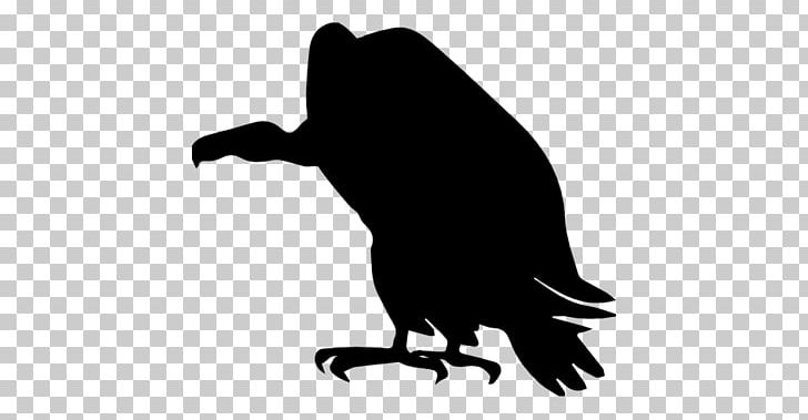 Vulture Silhouette PNG, Clipart, Animals, Bald Eagle, Beak, Bird, Bird Of Prey Free PNG Download