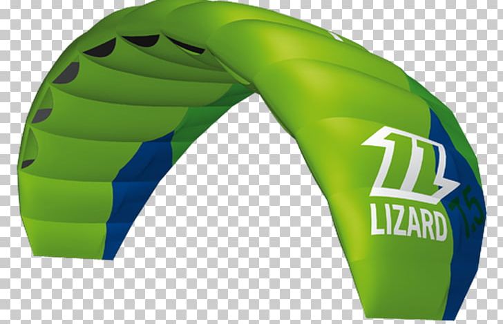 Kitesurfing Lizard Aile De Kite PNG, Clipart, Aile De Kite, Boardleash, Foil Kite, Green, Inflatable Free PNG Download