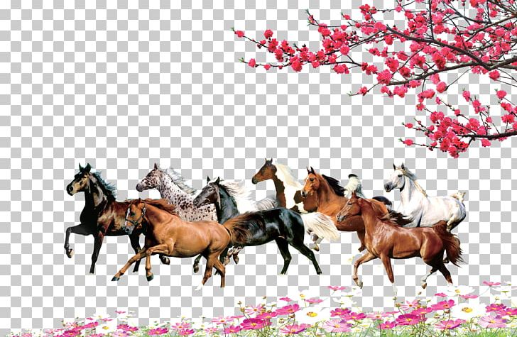 Horse Computer File PNG, Clipart, Ahead, Concepteur, Download, Encapsulated Postscript, Equestrian Free PNG Download