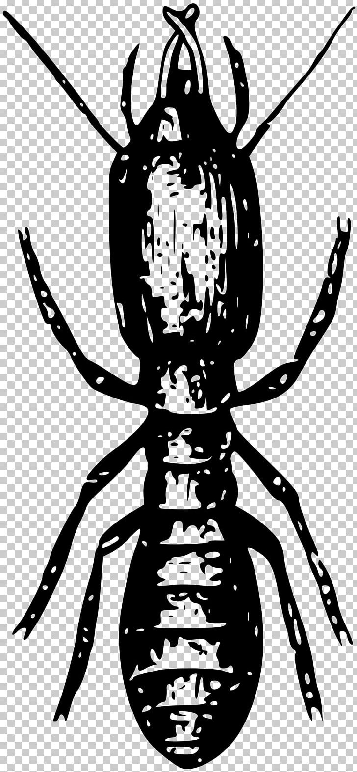 Insect Termite PNG, Clipart, Animals, Art, Arthropod, Artwork, Black And White Free PNG Download