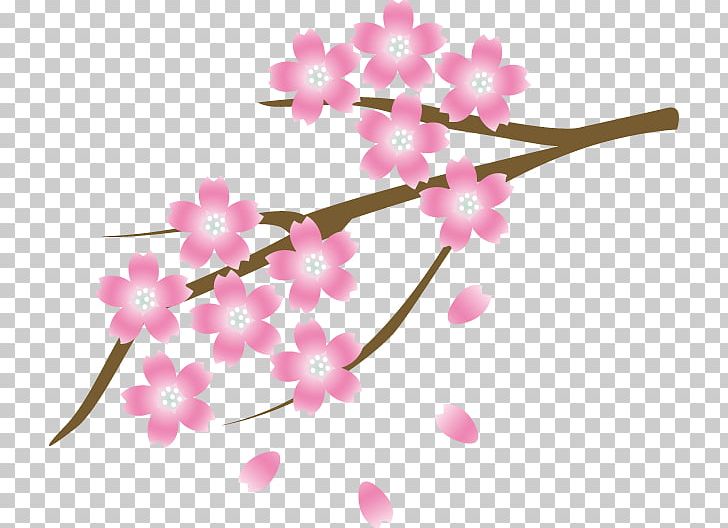 Kobe Cherry Blossom Ibaraki Kyoto Isohachi PNG, Clipart, Blossom, Branch, Cherry Blossom, City, Floral Design Free PNG Download