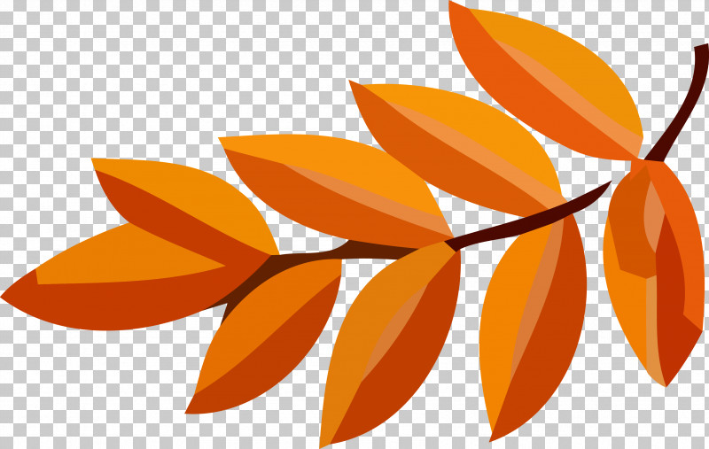 Autumn Leaf Fall Leaf Yellow Leaf PNG, Clipart, Autumn Leaf, Fall Leaf, Flower, Leaf, Orange Free PNG Download