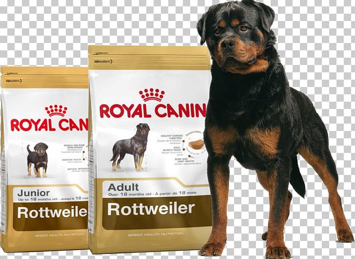 Rottweiler Dog Breed Puppy German Shepherd Border Collie PNG, Clipart, Animals, Border Collie, Breed, Bulldog, Carnivoran Free PNG Download