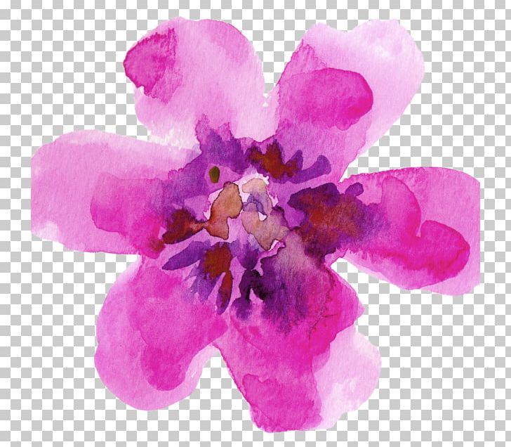 Watercolour Flowers Watercolor Painting Paper Watercolor: Flowers PNG, Clipart, Art, Drawing, Floral Design, Flower, Flowering Plant Free PNG Download