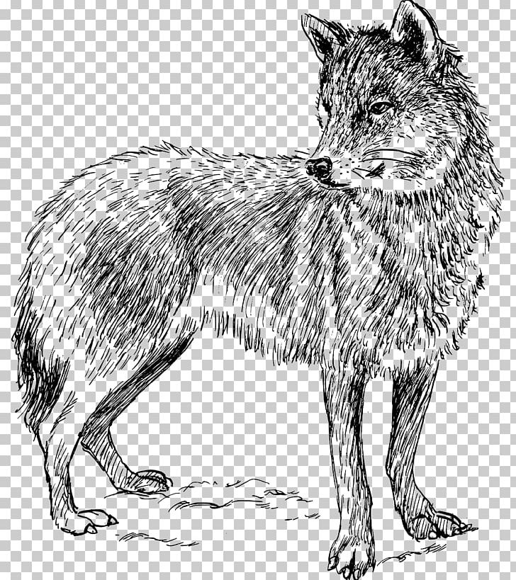 Dog Drawing Black Wolf PNG, Clipart, Animals, Arctic Wolf, Art, Black And White, Black Wolf Free PNG Download