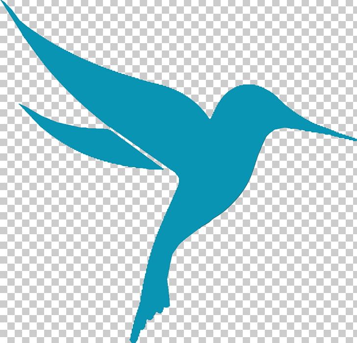 Hummingbird M Beak Feather PNG, Clipart, Animals, Beak, Bird, Colibri, Fauna Free PNG Download