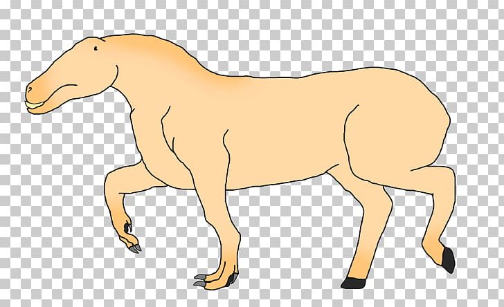 Mule Foal Stallion Pony Mare PNG, Clipart, Animal, Bridle, Bump, Cocoa, Colt Free PNG Download