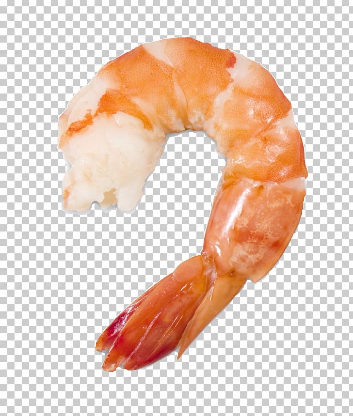 Video Stock.xchng Photograph IStock PNG, Clipart, Animal Source Foods, Caridean Shrimp, Decapoda, Dendrobranchiata, Food Free PNG Download