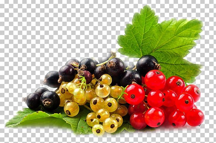 Blackcurrant Redcurrant Berry Zante Currant White Currant PNG, Clipart, Ber, Blackberry, Blackcurrant, Blueberry, Cranberry Free PNG Download