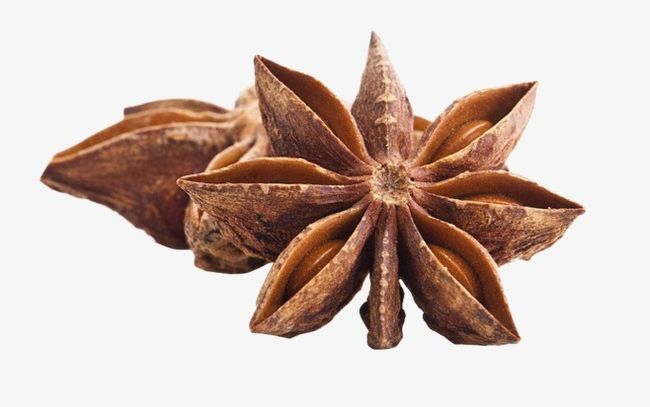 Star Anise PNG, Clipart, Anise Clipart, Condiment, Food, Kitchen, Seasoning Free PNG Download