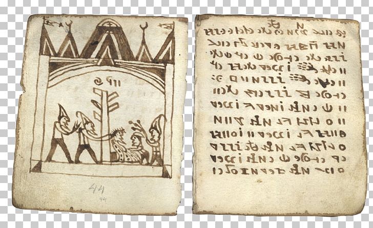 codex voynich