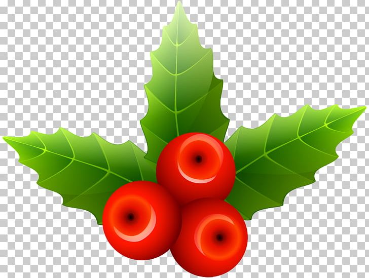 Mistletoe Christmas PNG, Clipart, Aquifoliaceae, Christmas, Christmas Clipart, Christmas Decoration, Christmas Mistletoe Free PNG Download
