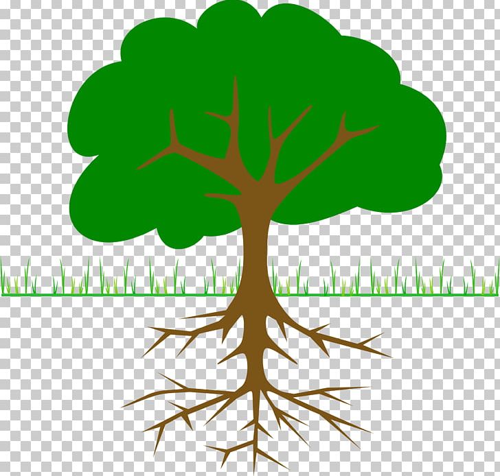 Tree Branch PNG, Clipart, Branch, Christmas Tree, Download, Drawing, Flower Free PNG Download