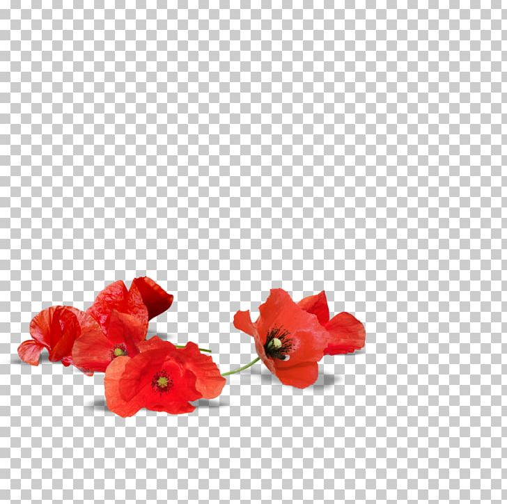 Adelaide Poppy Armistice Day Flower Desktop PNG, Clipart, Adelaide, Anzac Day, Armistice Day, Australia, Body Jewelry Free PNG Download