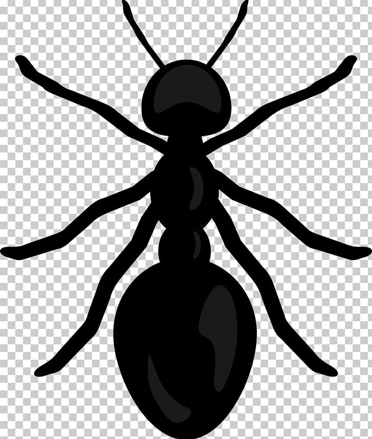 Desktop PNG, Clipart, Ant, Arthropod, Artwork, Black And White, Color Free PNG Download