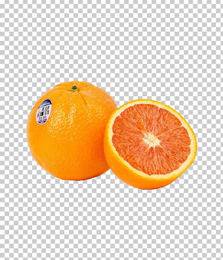 Blood Orange Tangerine Clementine Tangelo PNG, Clipart, Auglis, Bitter Orange, Blood Orange, Citric Acid, Citrus Free PNG Download
