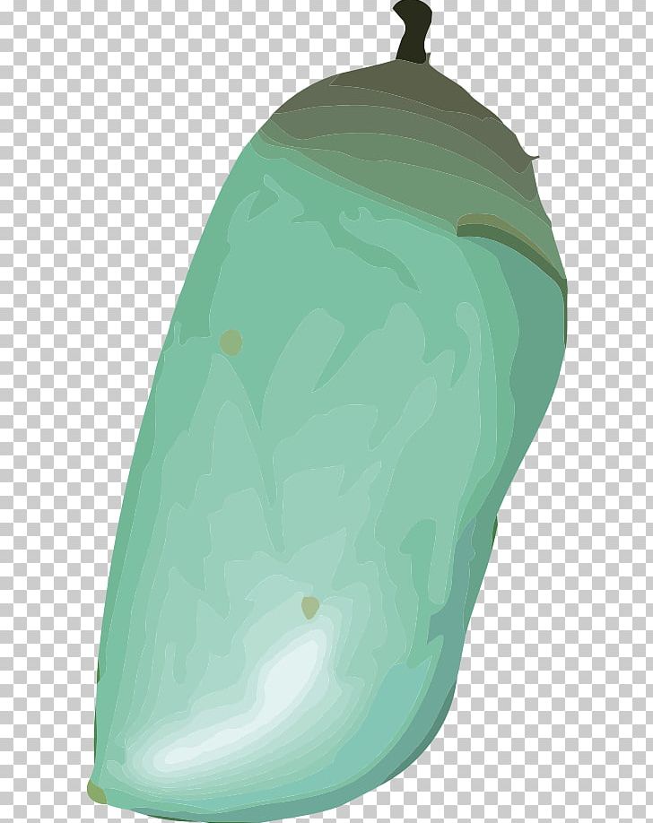 chrysalis clipart