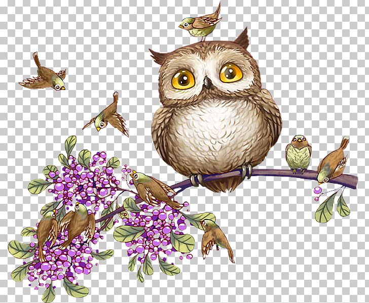 Owl Bird PNG, Clipart, Animals, Beak, Bird, Bird Of Prey, Blog Free PNG Download