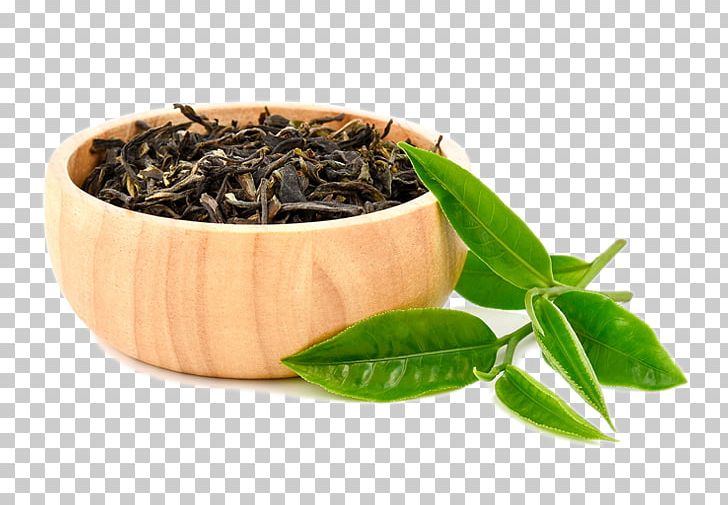 Hōjicha Green Tea Nilgiri Tea White Tea PNG, Clipart, Assam Tea, Bai Mudan, Bancha, Biluochun, Ceylon Tea Free PNG Download
