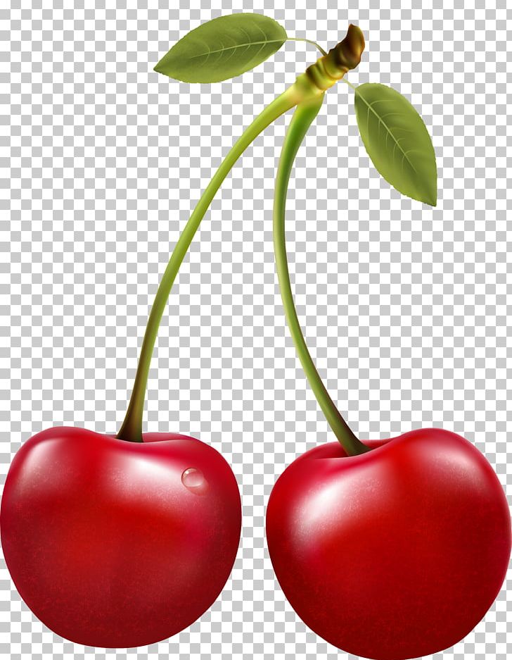Sour Cherry Berry PNG, Clipart, Acerola, Acerola Family, Berry, Cherry, Cherry Blossom Free PNG Download