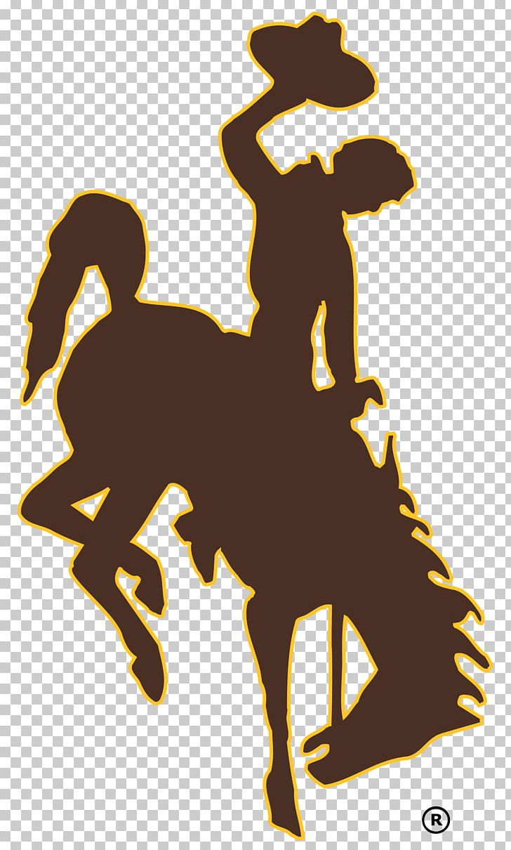 Wyoming Cowboys Football Wyoming Cowgirls Women's Basketball Wyoming Cowboys Baseball University Of Northern Colorado PNG, Clipart,  Free PNG Download