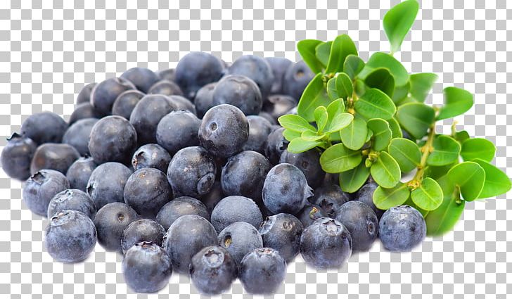 Blueberry Extract Bilberry Açaí Palm Muscle PNG, Clipart, Acai Palm, Aristotelia Chilensis, Berry, Bilberry, Blueberry Free PNG Download