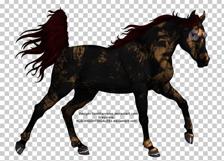 Mustang Pony Mare Colt Stallion PNG, Clipart, Arabian Horse, Black, Bridle, Colt, Drawing Free PNG Download
